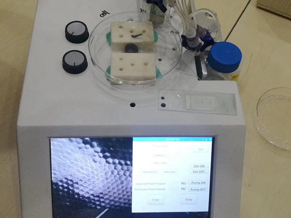 2019年在上海杉米生物全國經銷商交流會圓滿舉辦